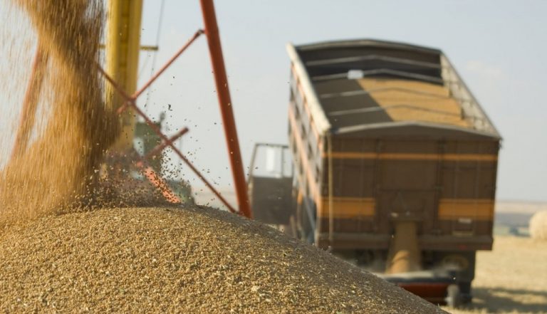 Exportatorii de produse cerealiere solicită măsuri de fluidizare a traficului la posturile vamale