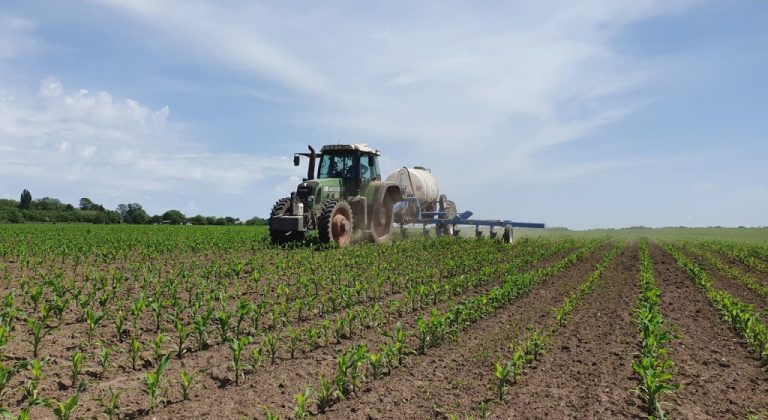 Veaceslav Ioniță: Moldova trebuie să dezvolte o agricultură intensivă