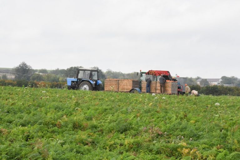 Agricultura din Moldova va trece prin transformări mari și dificile – expert