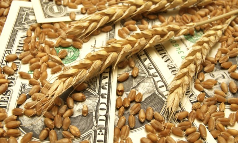 Grain-Trade: Ucraina va introduce un mecanism privind prețurile minime de export la cereale, oleaginoase și ulei