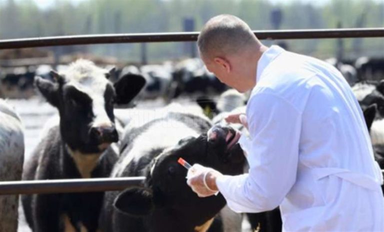 Facultatea Medicină Veterinară, UTM propune crearea unei clinici veterinare mobile