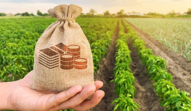 UCIP IFAD susține dezvoltarea agriculturii prin facilitarea accesului la finanțarea fermierilor