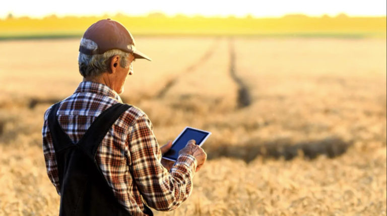 Modernizarea sectorului agricol: În Moldova are loc faza de testare a Registrului fermierului