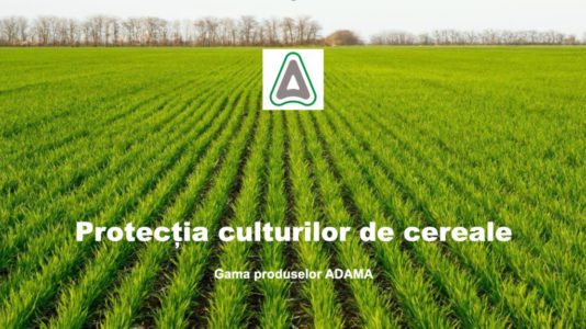 cover-adama-cereale-webinar