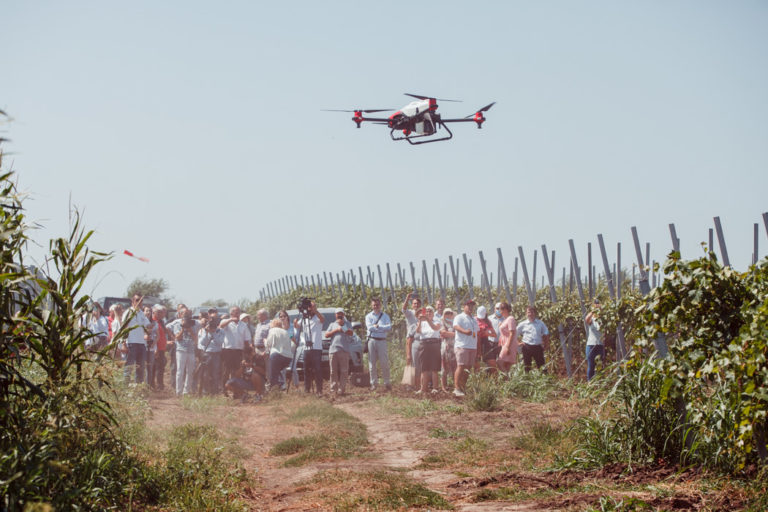 USAID PCRR oferă Granturi pentru stimularea implicării tinerilor în transformarea digitală a agriculturii cu valoare înaltă, sectorului vitivinicol și turismului 