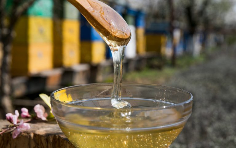 ANSA va sancţiona introducerea pe piață a Siropului invertit cu aromă de miere denumit în mod greșit „Miere artificială”