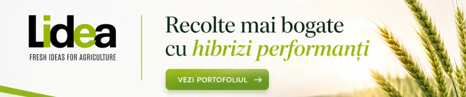 Lidea logo with Romanian slogan and a green 'Vezi portofoliul' button beside wheat stalks in a field banner.