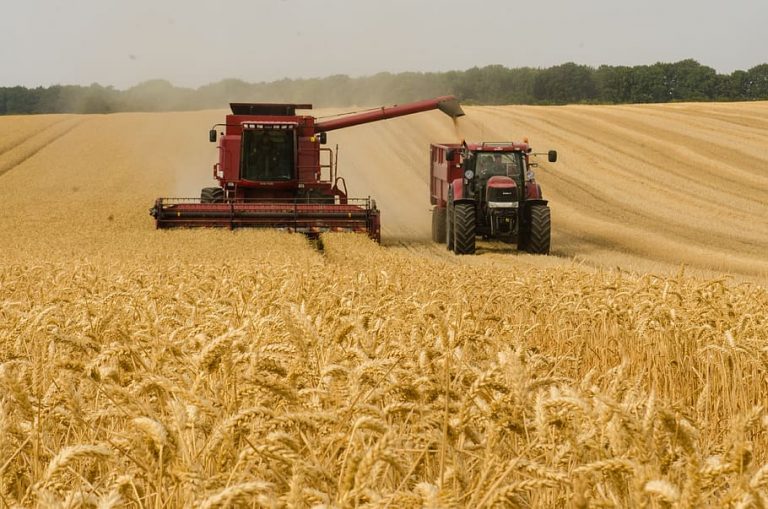 Producția agricolă din Moldova – mai mare cu 27,5% comparativ cu 2022. Costurile mult peste medie