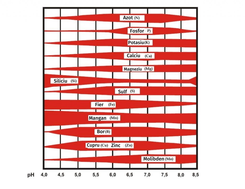 Какая кислотность почвы для томатов. Таблица усвоения микроэлементов в зависимости от кислотности. Таблица усвоения удобрений PH. Таблица усвояемости микроэлементов в зависимости от PH. Таблица усвояемости удобрений от PH.