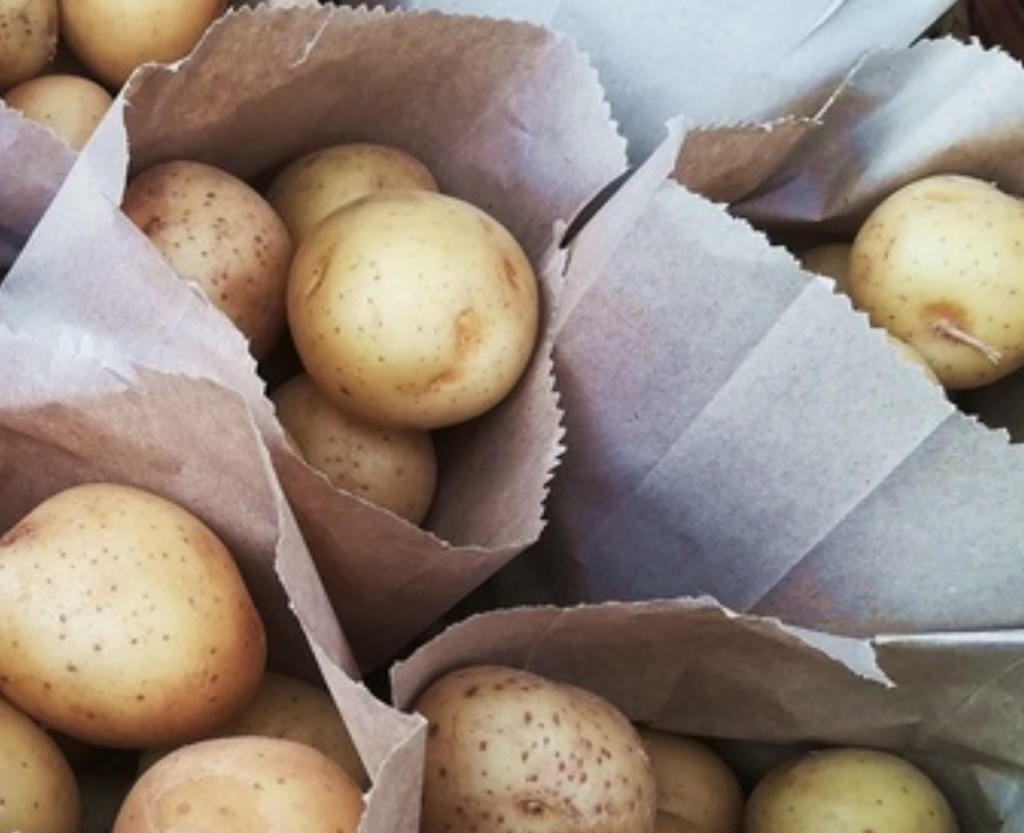 Cum se păstrează cartofii: pentru depozite pivnițe