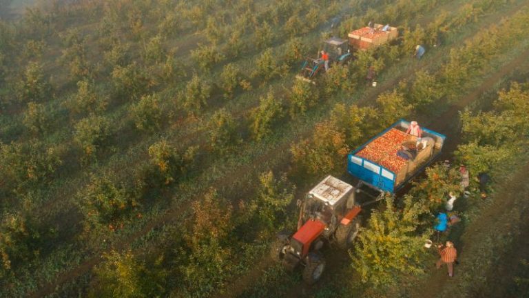 ANSA: Platforma digitală de învățare destinată operatorilor din sectorul agricol a devenit mai accesibilă