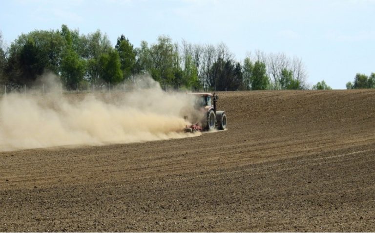 CNAS atenționează angajatorii din agricultură. Cei care nu achită contribuțiile la timp, vor fi sancționați