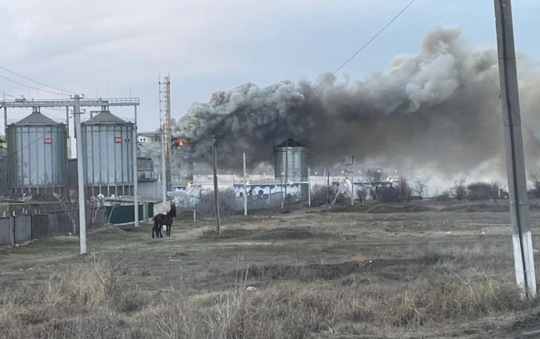 Un alt siloz cu șrot de floarea-soarelui a luat foc în portul Giurgiulești