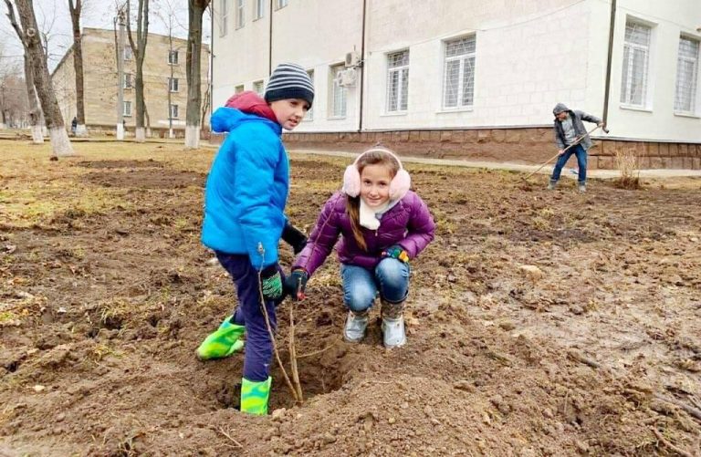 Încă o instituție de învățământ din țară va primi în dar o livadă de alun