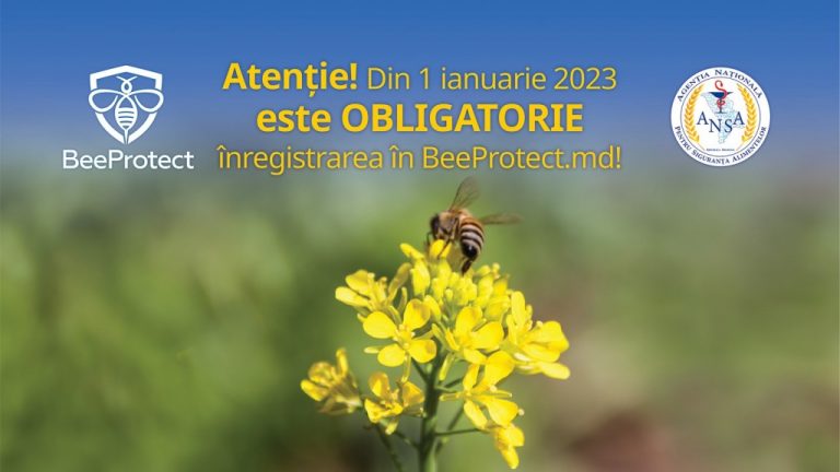 BeeProtect: Înregistrare obligatorie pentru apicultori și agricultorii care planfică tratamente cu PUF