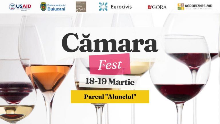 Târgul micilor producători de vin – vino să cunoști „Vinuri mari de la crame mici” la Cămara Fest