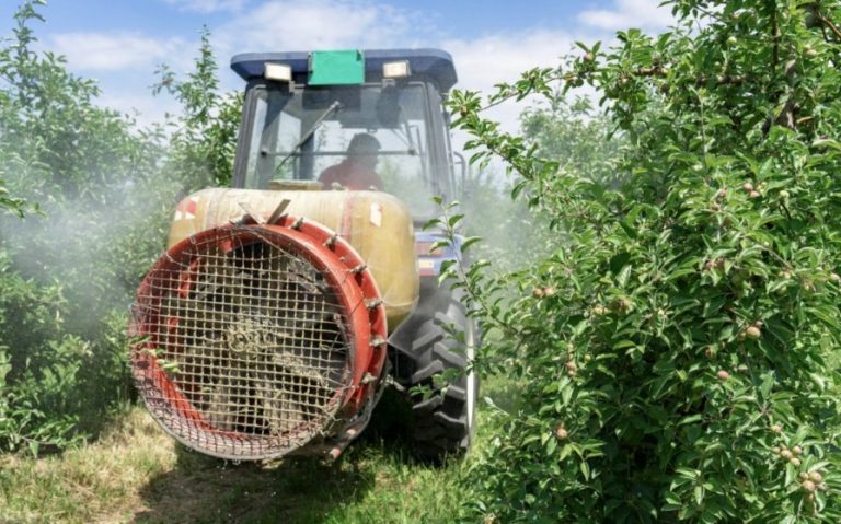 Rezistența bolilor la fungicide – 7 reguli de prevenire