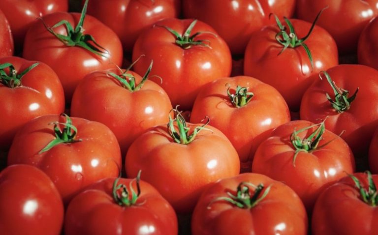 Turcia anunță limitarea exportului de tomate până pe 14 aprilie 2023