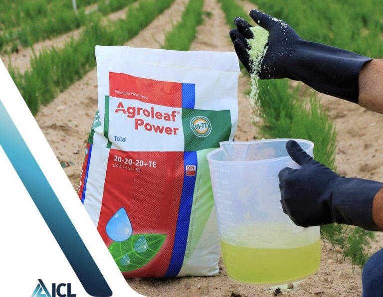 Agroleaf Power – îngrășământ foliar pentru o nutriție de precizie și productivitate sporită