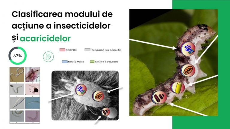 Clasificarea modurilor de acțiune a insecticidelor și acaricidelor