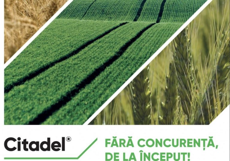 Citadel® – Culturi curate, fără iarba vântului și buruieni cu frunza lată