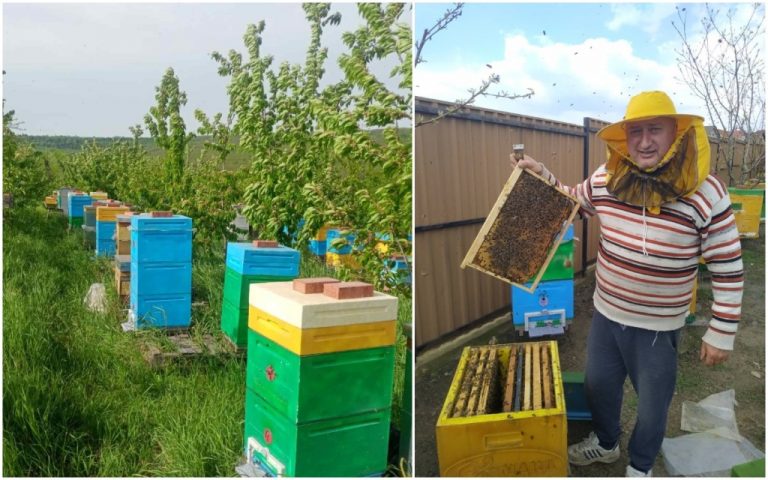 Mircea Trifan, apicultor: Toți apicultorii și agricultorii trebuie să se înregistreze în sistemul BeeProtect, pentru a evita moartea albinelor