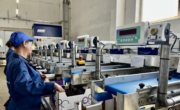 Apel pentru investiții private în Moldova, lansat de UE: agricultură, procesare și dezvoltare rurală printre sectoarele prioritare