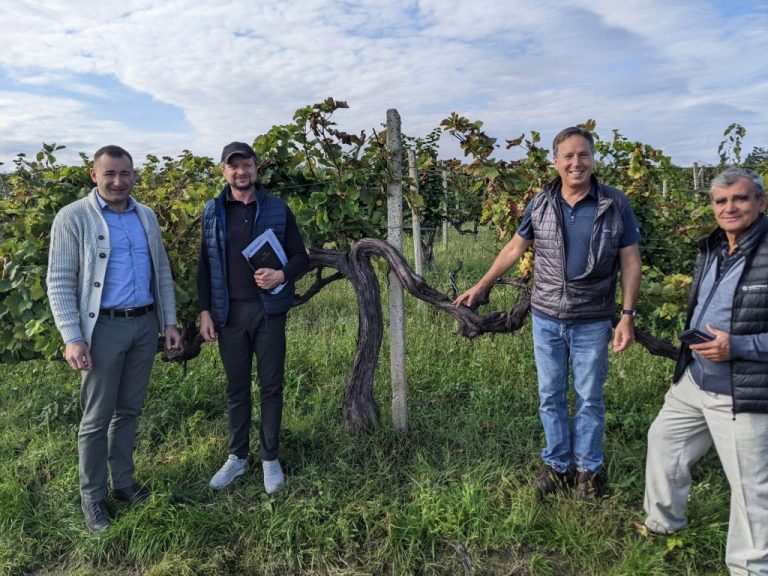 Vinăriile din Moldova vor beneficia de consultanță în asimilarea marketingului agricol modern