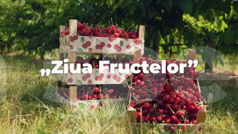 ZIUA FRUCTELOR 2023 – cel mai important eveniment al sectorului horticol din Moldova