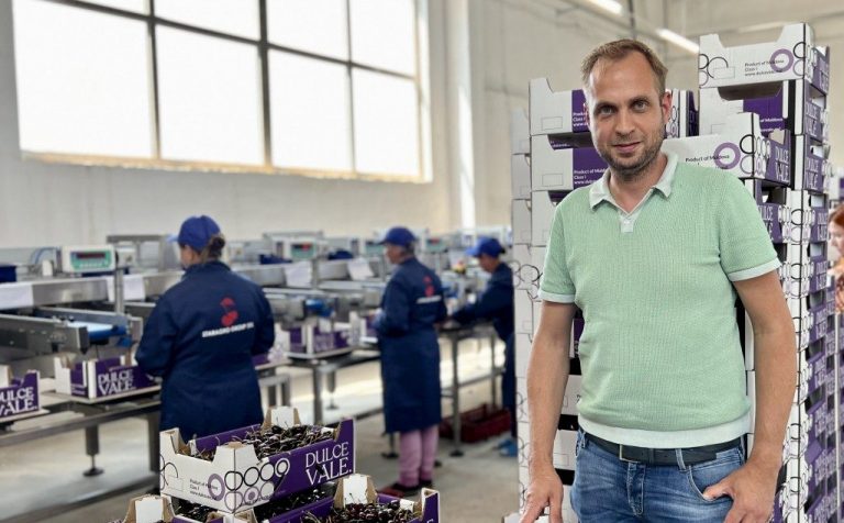 Importator olandez, în Moldova pentru a cumpăra fructe: Putem achiziționa cantități mari, decisivă e calitatea