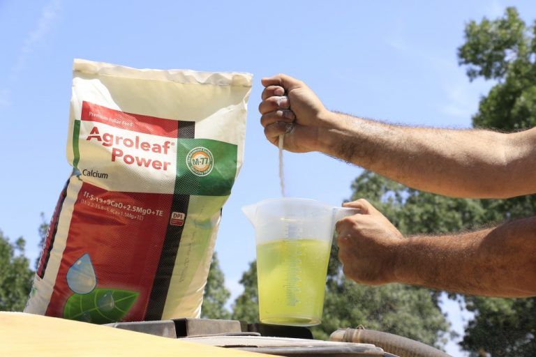 Agroleaf Power – îngrășământul foliar pentru culturi mai puternice și mai rezistente