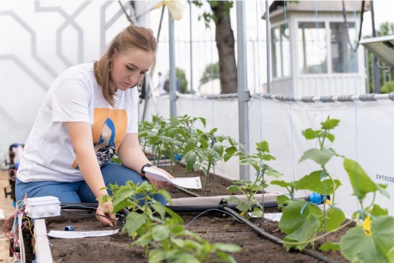 La UTM se va deschide „Agro IT Arena” – complex de cercetare și dezvoltare a tehnologiilor inovaționale în agricultură