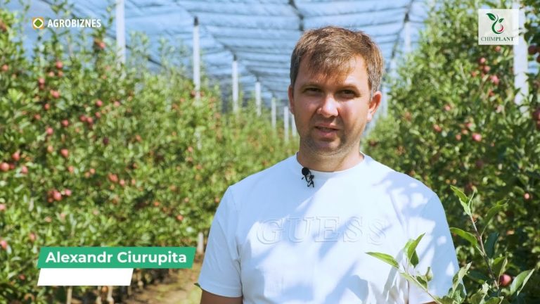 VIDEO. Fermier: Utilizând tehnologia RAK 3+4 în livadă, am făcut cu 9 tratamente mai puțin, reducând costurile cu 50%