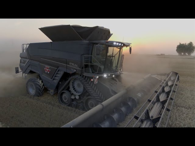 VIDEO. Combinele Massey Ferguson IDEAL – create pentru confort maxim și calitate în timpul recoltării