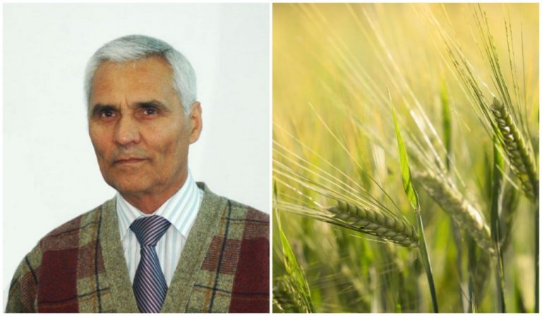 Culegere de 100 de articole: Recomandări agrotehnice la cultivarea plantelor agricole în sistemul de agricultură durabilă