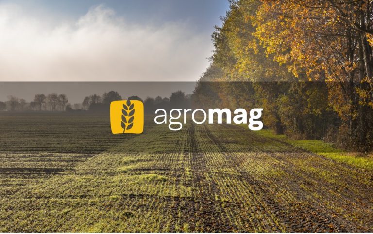 Agromag.md – un an de activitate. Zeci de companii și mii de produse în portofoliu