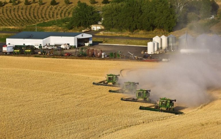 Unul dintre cei mai mari traderi de pe piaţa cerealelor vrea să preia un concurent