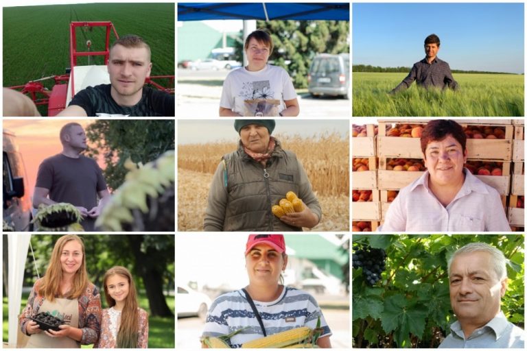 Astăzi este marcată Ziua Agricultorului. Felicitări, dragi fermieri