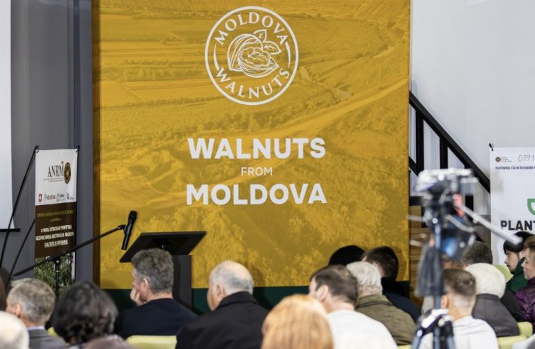 Business-Summitul  Producătorilor de nuci din Moldova. Detalii eveniment