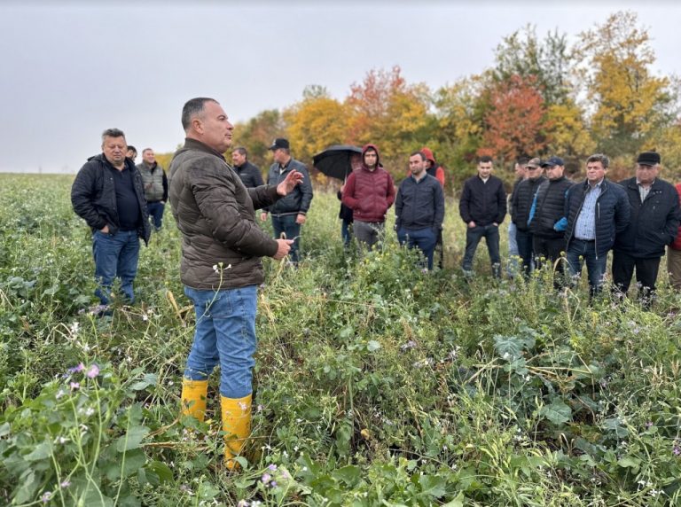 FAO: Rolul tehnologiilor verzi în asigurarea rezilienței RM la schimbările climatice