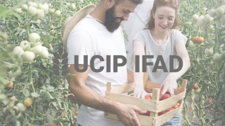 Planurile UCIP IFAD pentru 2024: circa 210 milioane lei pentru 300 de fermieri