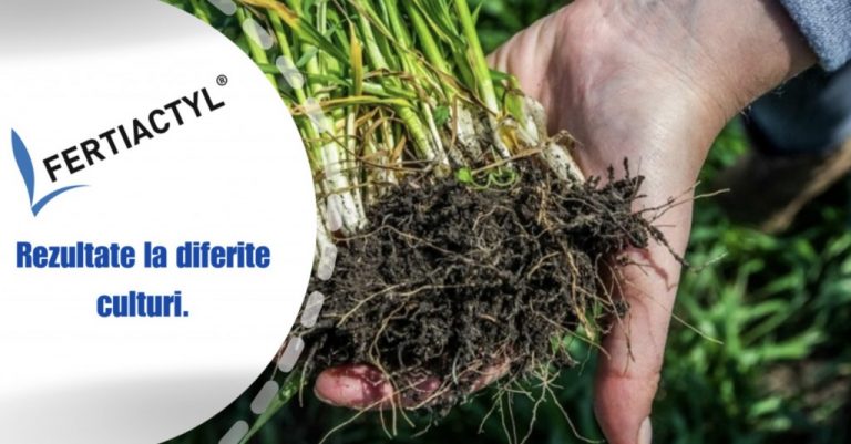 Recoltele bogate au nevoie de un start solid. Asigură-l cu gama de biostimulatori radiculari Fertiactyl de la Timac Agro East