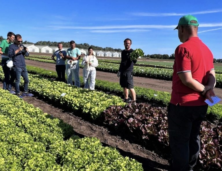 Originarii din Republica Moldova, printre cei mai mari investitori străini în agricultura românească