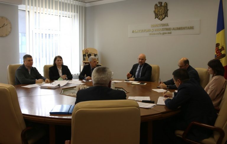 MAIA: Agricultorii moldoveni valorifică oportunitățile Proiectului AGGRI