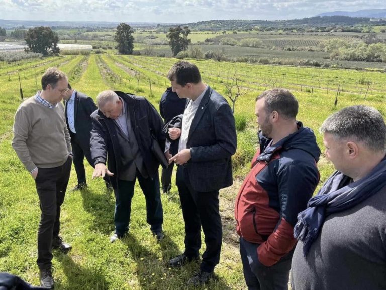 O delegație din Moldova participă la un program de studiu a agriculturii conservative în Spania