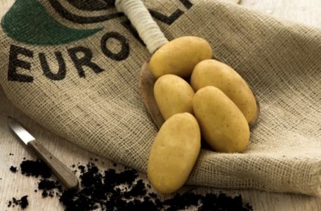 cartof europlant
