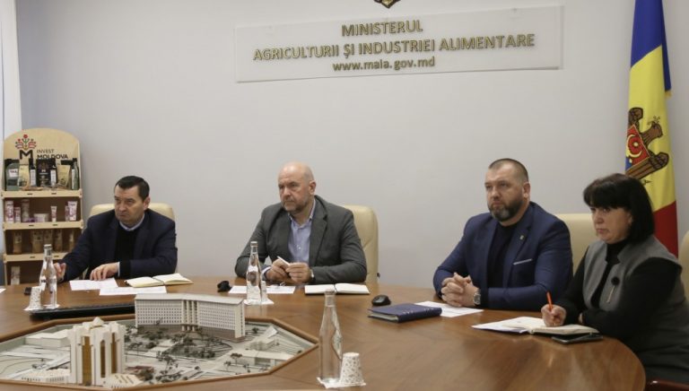 A treia rundă de discuții între producătorii și procesatorii de semințe de floarea soarelui