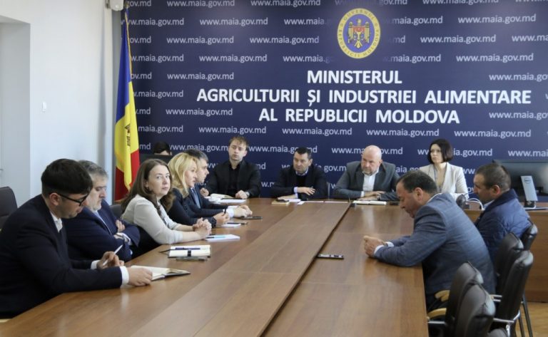 MAIA a facilitat a doua rundă de discuții între producătorii și procesatorii de semințe de floarea soarelui