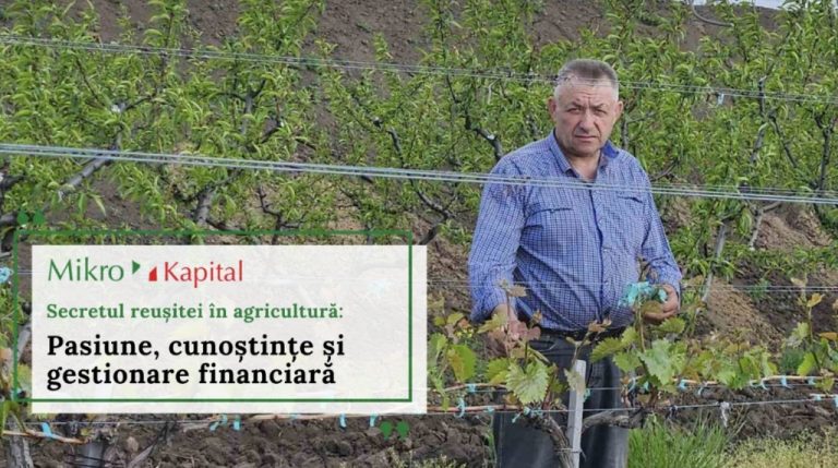 Secretul reușitei în agricultură: Pasiune, cunoștințe și gestionare financiară