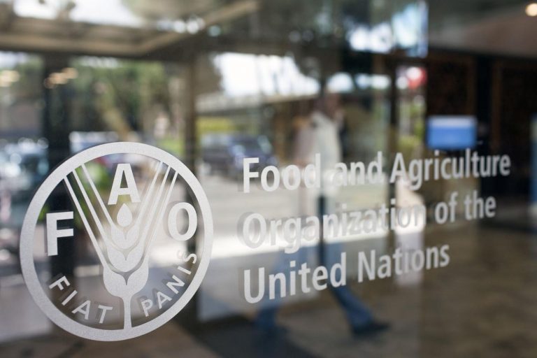 FAO: Agrobiznes, unul dintre cele mai de succes proiecte tech-media din Europa de Est